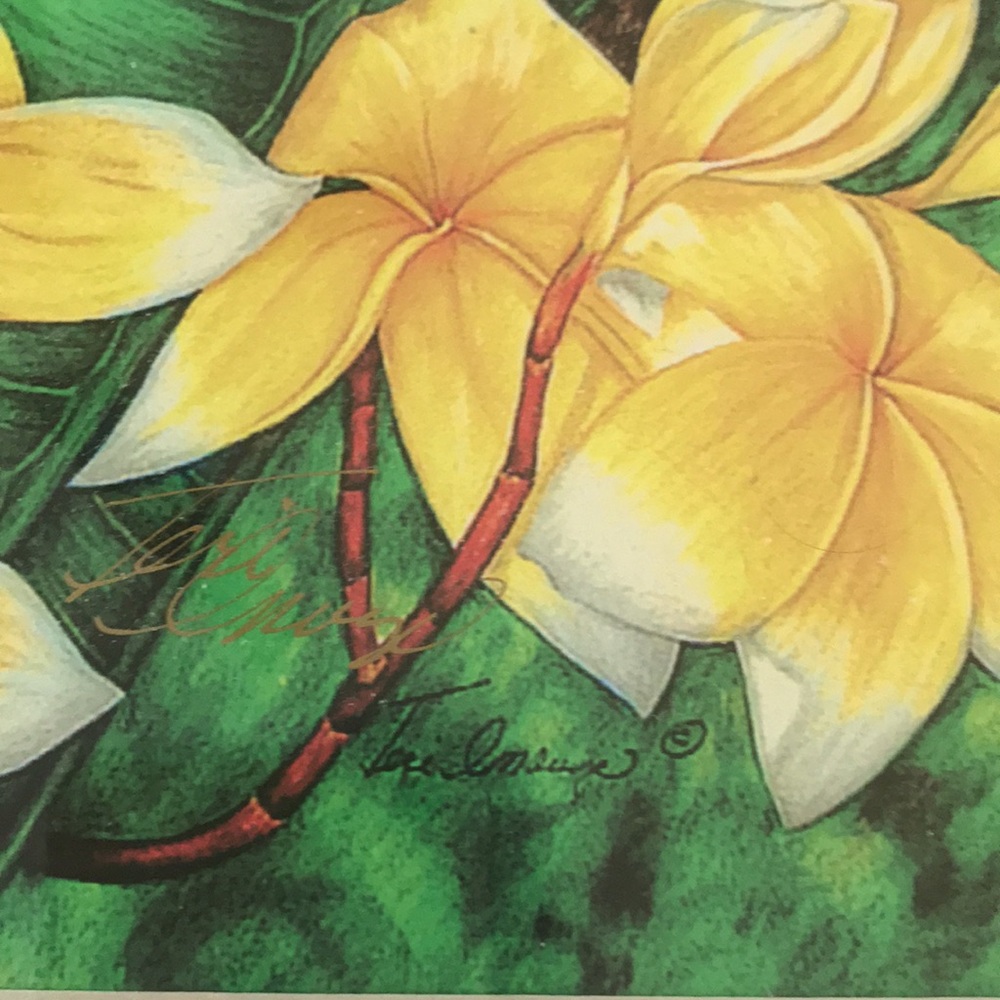 LIMITED EDITION SIGNED AND FRAMED HAWAIIAN PRINT - Picture 3 of 5